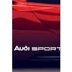 TSC Z357 Audi A4 A6 Tt Sport Araba 2 Adet Yapıştırma Sticker