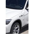 TSC Z509 A Rh + Pozitif Araba Kan Grubu Sticker