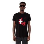 Tshirthane Euro 24 Denmark Siyah Erkek T-shirt