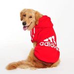 Tshirthane Kırmızı Adidog Kapşonlu Sweatshirt Köpek Elbisesi
