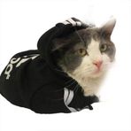 Tshirthane Siyah Adidog Kapşonlu Duo Kedi Sweatshirt