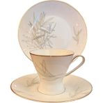 TT Rosenthal Trio Çay Kahve Finvanı - Fincan Tabağı ve Pasta Tabağı - Beyaz