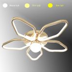 TT337-FSR Tt Aydınlatma 3 Renk Modüllü Toplu Fransız Sarı Kaplama Plafonyer LED Avize - Rose Gold