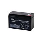 Ttec 12 Volt 9 Amper Ranger Akülü Araba Oyuncak Araba Aküsü Pili Batarya 12V 9AH