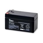Ttec 2024 12 V 1.3 Ah Kuru Akü