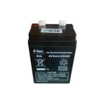 TTEC PLUS 4V 6Ah Bakımsız Kuru Akü Işıldak Fener Akü