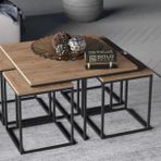Tubihome Orta Sehpa Takımı, Meşe