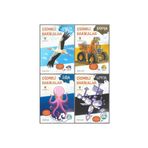 Tübitak Yayınları Çizmeli Harikalar Havada-karada-suda-uzayda Nasıl Çizilir?4lü Set