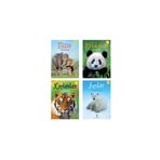Tübitak Yayınları Ilk Okuma Filler - Ayılar - Pandalar - Kaplanlar - 4 Kitap Set