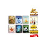 Tübitak Yayınları TÜBİTAK İlk Okuma 6 Kitap Set | Penguenler, Pandalar, Böcekler, Yumurtalar | 7+ Yaş Eğlenceli Bilim