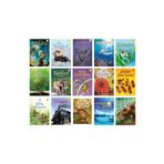 Tübitak Yayınları Tübitak Popüler Bilim Ilk Okuma Kitapları 15 Kitap Set (7+ Yaş) Set 1