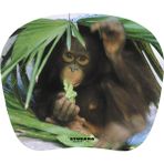 Tucano MPBOX-REF-28 Natura Mouse Pad Yavru Maymun