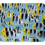 Tucano MPBOX-REF-34 Natura Mouse Pad Balıklar