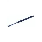 Tuff Support Audi A5 Sportback 2009-2016 Bagaj Amortisörü 8t8827552