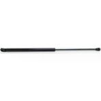 Tuff Support Cıtroen Xantıa 98-01 Bagaj Amortisörü 8731.C3