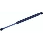 Tuff Support Renault Clıo 2 1999-2005 Bagaj AMORTISÖRÜ7700842256