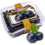 Tuğba Kuruyemiş 101 gr Blueberry Kurusu