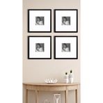 Tuğra Sanat Galerisi Fotoğraf Çerçeve Seti 4 Adet 37x37 Cm Iç Ölçü 15x15 Siyah Çerçeve Beyaz Kağıt Paspartu Camlı