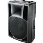 Tuig Ts-7100 2 Yollu Pvc Kasa 10'' 250 W Pasif Plastik Kabin Hoparlör