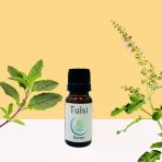 Tulsi (Holy Basil/Hint fesleğeni) Uçucu Yağı 10 ml | Haven Herbs & Blends