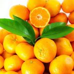 Tüplü Aşılı Çok Verimli Çekirdeksiz Okitsu Mandalina Fidanı