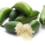 Tüplü Aşılı Mikro-narenciye Finger Lime Fidanı-meyve Verme Durumunda