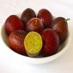 Tüplü Aşılı Özel Üretim Nadir Bulunan Kırmızı Lime Limon Fidanı