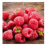 Tüplü Bol Verimli Aromatik Yediveren Ahududu Fidanı