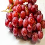 Tüplü Çekirdeksiz Aromalı Flame Seedless Üzüm Fidanı