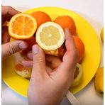 Tüplü Finike Kırmızı Limon Fidanı