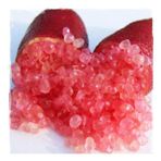 Tüplü Havyar Limon Mia Rose Finger Lime Fidanı