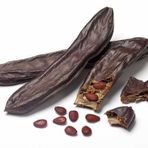 Tüplü Kıbrıs Aşılı Keçi Boynuzu(Harnup) Fidanı