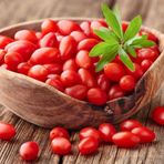 Tüplü NQ7 Kırmızı Goji Berry Fidanı