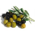 Tüplü Salamuralık Gemlik Zeytin Fidanı