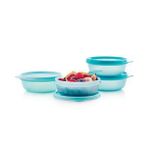 Tupperware 300 ml 4'lü Saklama Kabı