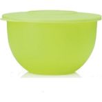 Tupperware 4.3 lt Yeşil Saklama Servis