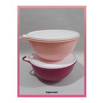 Tupperware 4.5 lt 2'li Mikser Kabı