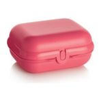 Tupperware Beslenme Kabı Istiridye Midi Taşıma Kutusu Hsgl