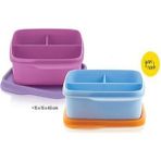 Tupperware Bölmeli Beslenme Kutusu 2 Li Set