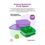 Tupperware Bölmeli Beslenme Kutusu 550ML 2li Set
