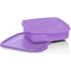 Tupperware Bölmeli Beslenme Kutusu Kare 550ML Sorbe - 550 ml - Mor