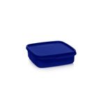 Tupperware Bölmeli Yemek Taşıma Kabı 550 ml Gece Mavisi