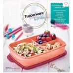 Tupperware Büyük Bölmeli Beslenme Kabı 1 Lt