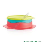 Tupperware İlk Tabağım Mikrodalga Beslenme Mama Kabı