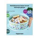 Tupperware Kurabiye Kutusu.