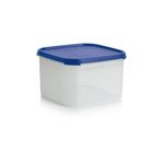 Tupperware Oval 2.6 lt Kuru Gıda Saklama Kabı
