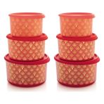 Tupperware Parıltı 2x3'lü Saklama Kabı