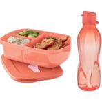Tupperware Pembe 1 lt Beslenme Kutusu ve 500 ml Suluk Seti