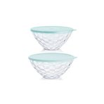 Tupperware Pırlanta Servis 2'li 500 ml Şeffaf Saklama Kabı
