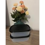 Tupperware Saklama Kabı 850 ml x 2 Adet - Siyah